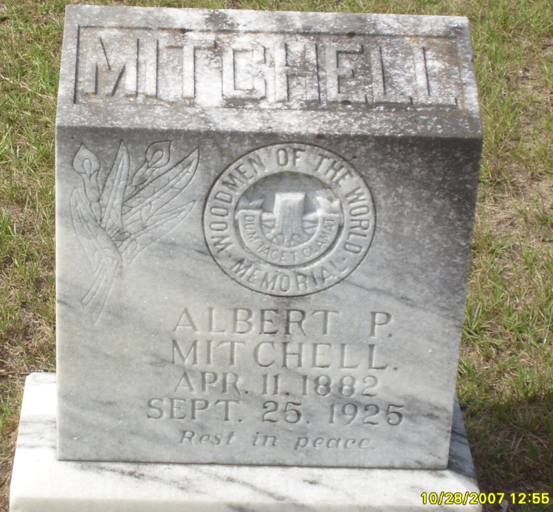 Albert P. Mitchell