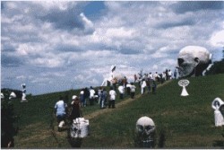 Group Visits to Park