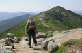 Mabel on Franconia Ridge.